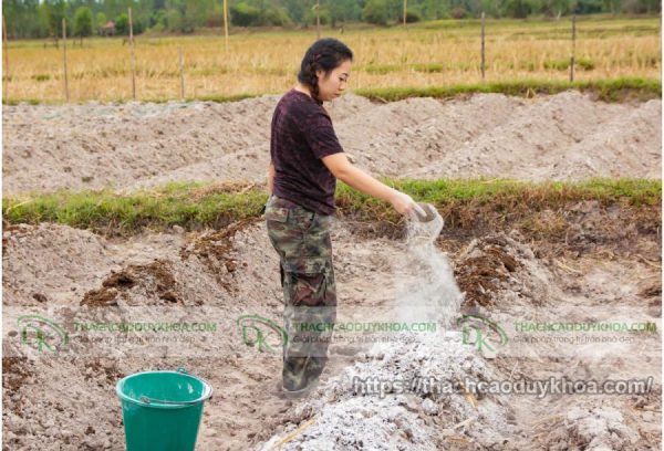 Điều chỉnh độ pH của đất